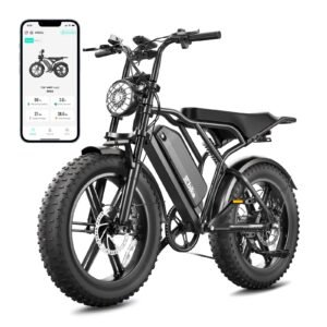 TST 1500W Fat Tire Electric Bike