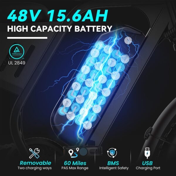 Removable 48V battery and fast charger