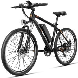 Jasion EB5 1000W Electric Bike