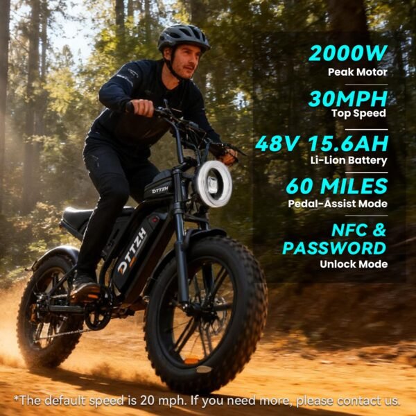 DTTZH black fat tire electric bike