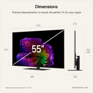 OLED55G66LS_2.jpg