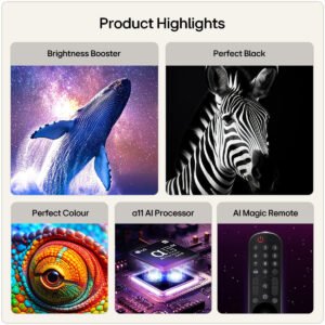 OLED65C66LB_2.jpg